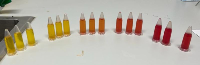 File:Colors.png